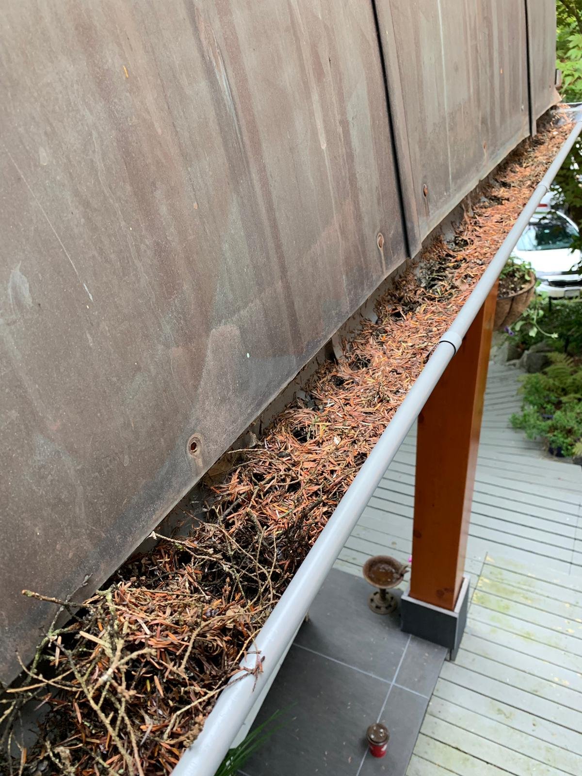 Pine needles accumulating in gutters