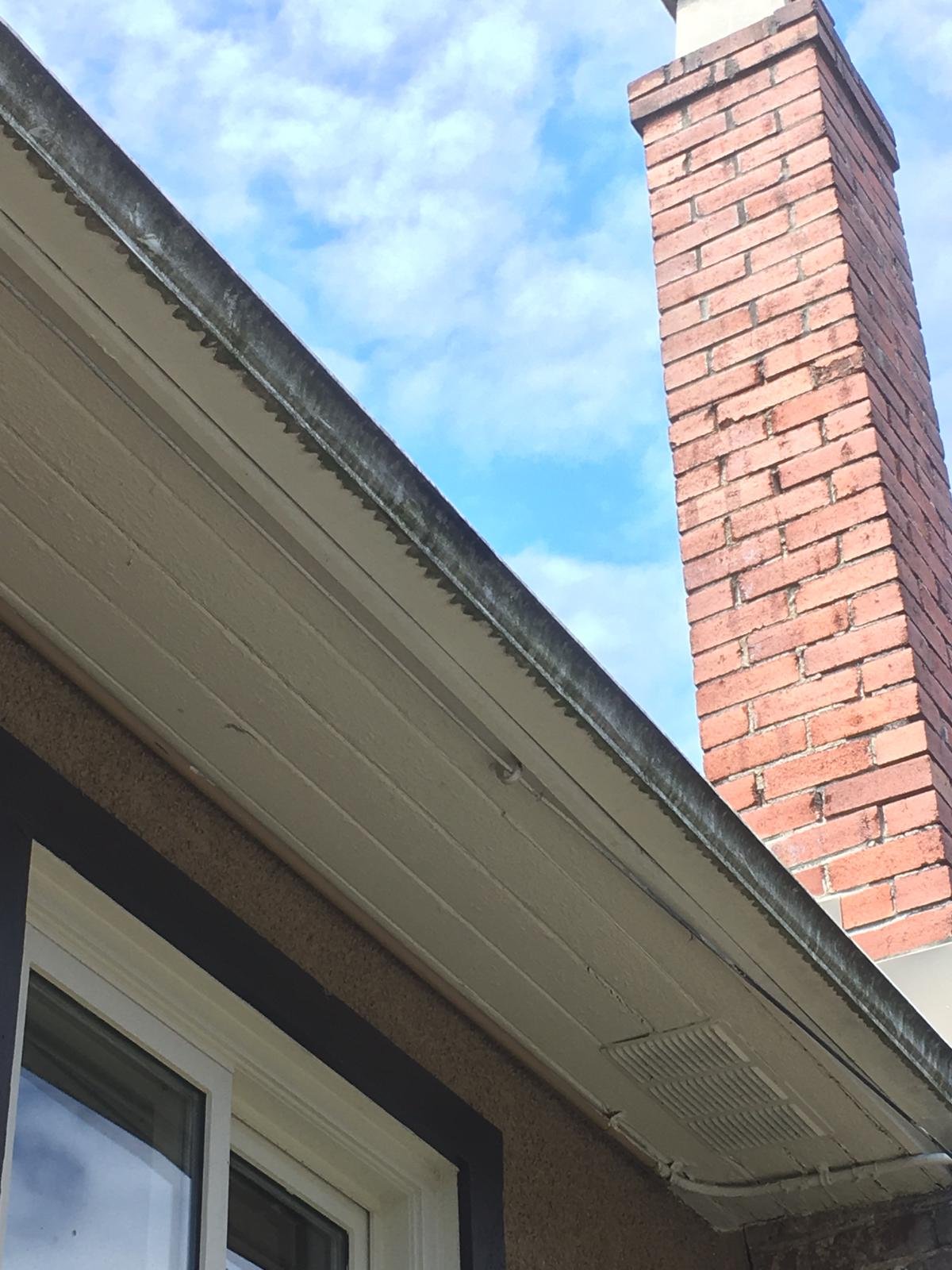 Exterior gutter before professional cleaning
