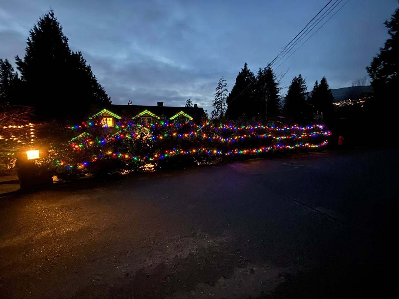 Christmas light hanging on bushes