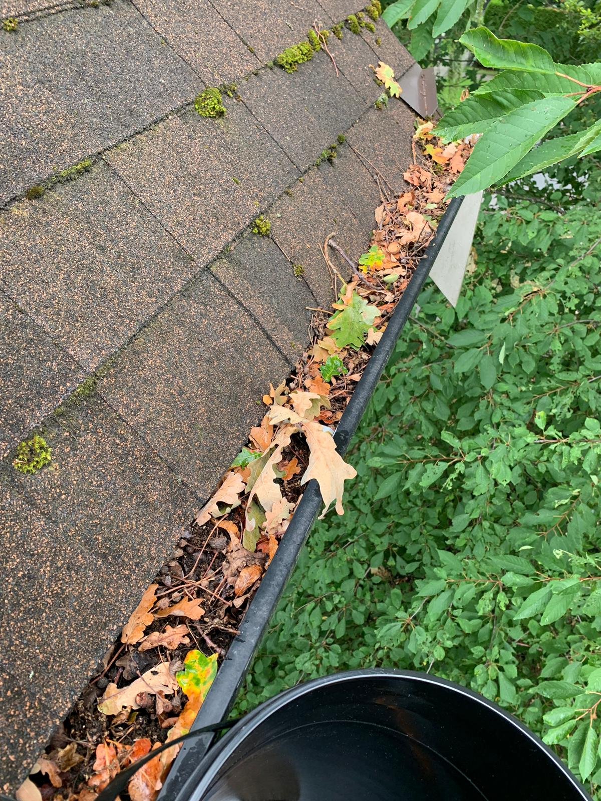 One-time commercial gutter cleaning