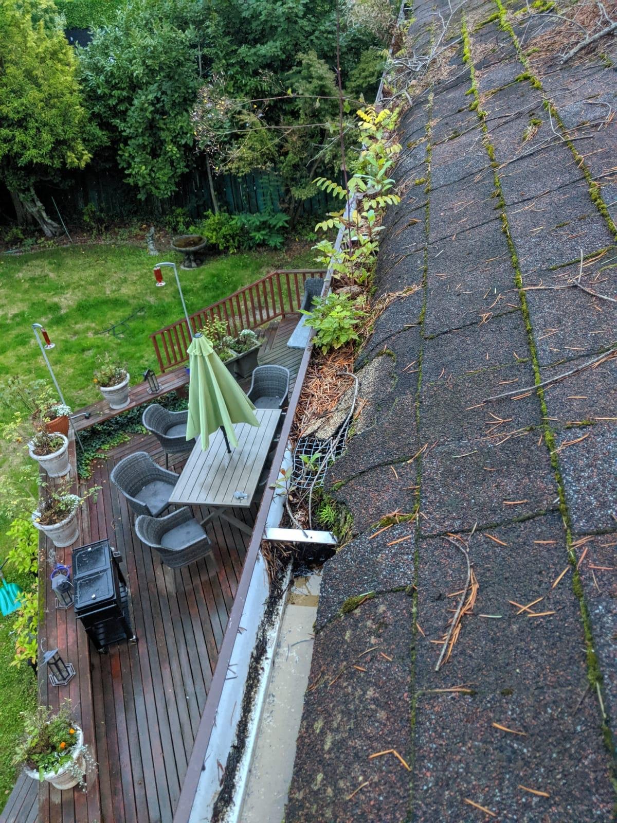 Managed property requiring scheduled gutter maintenance