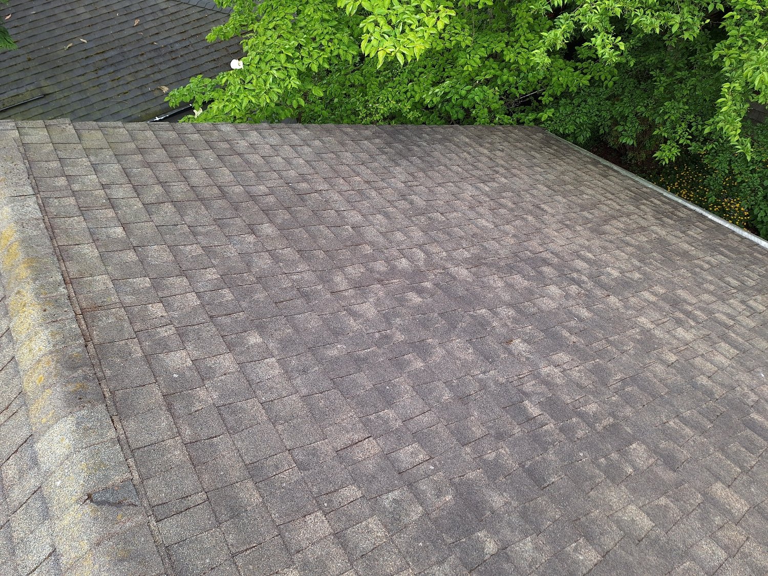 Asphalt shingle roof after brush cleaning