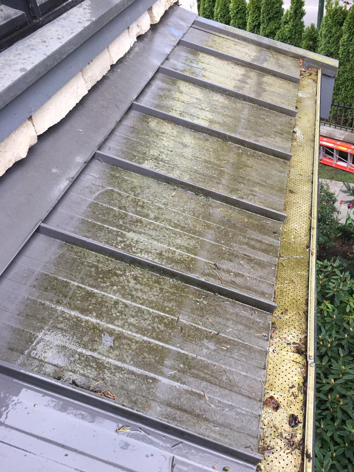 Metal roof with heavier dirt before professional cleaning