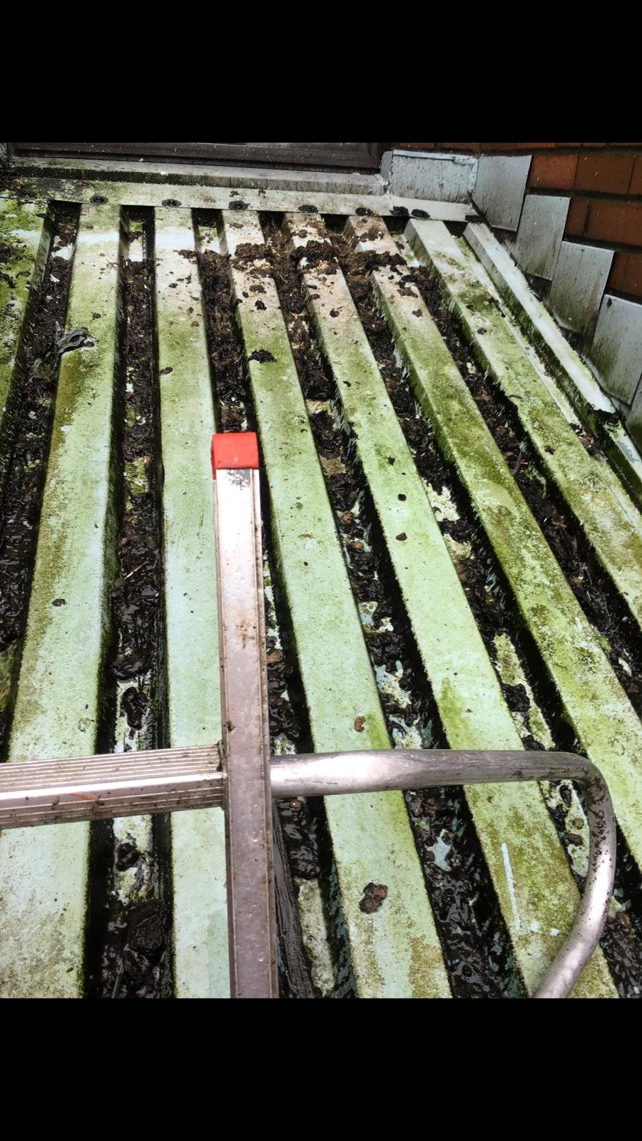 Metal roof cleaning and moss removal in Vancouver