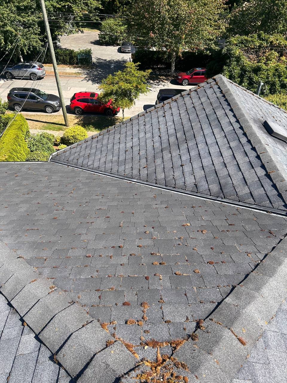 Asphalt shingle roof on a Vancouver home
