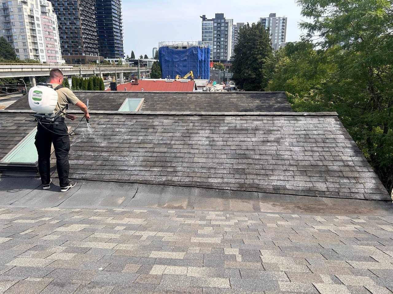 Summer roof cleaning in Vancouver