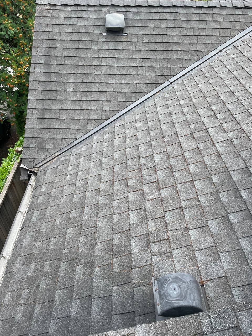 Roof after professional moss removal and roof treatment in Vancouver