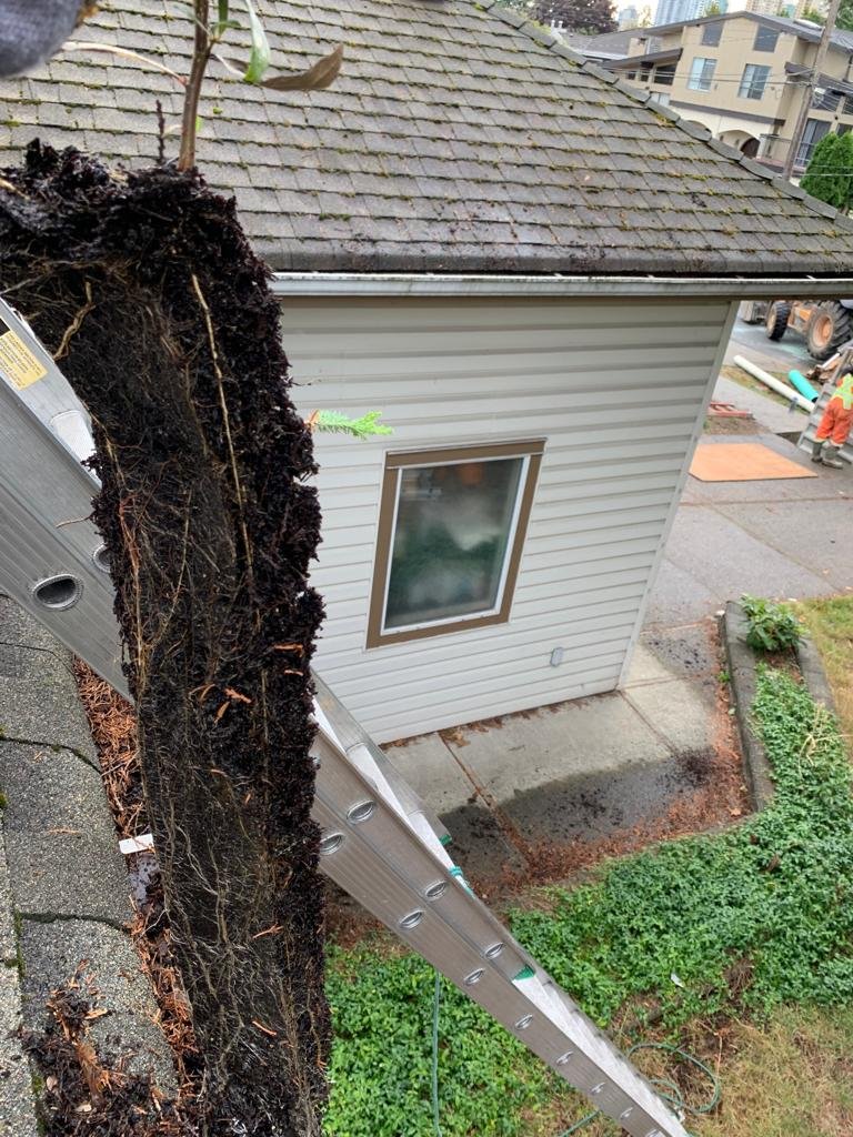 Interior commercial gutter cleaning in Vancouver