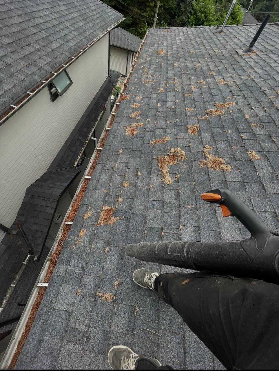 Clogged gutter before cleaning
