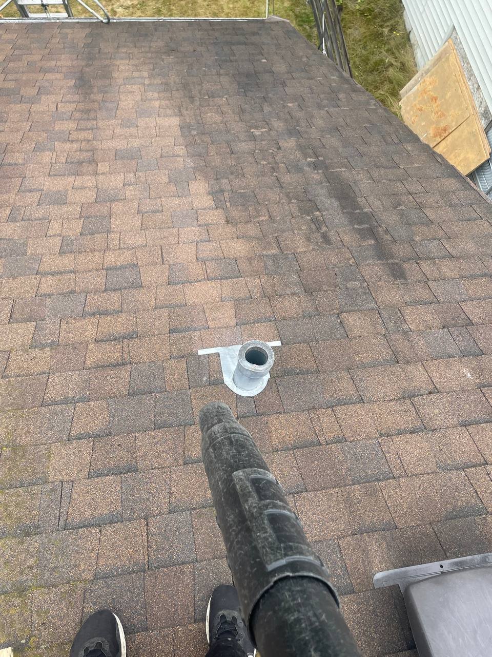 Black streaks and algae staining on asphalt shingle roof in Vancouver