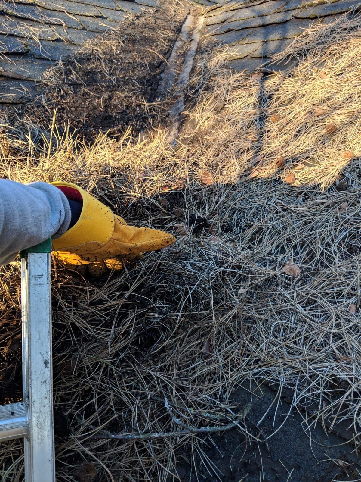 Interior gutter cleaning removing leaves and debris