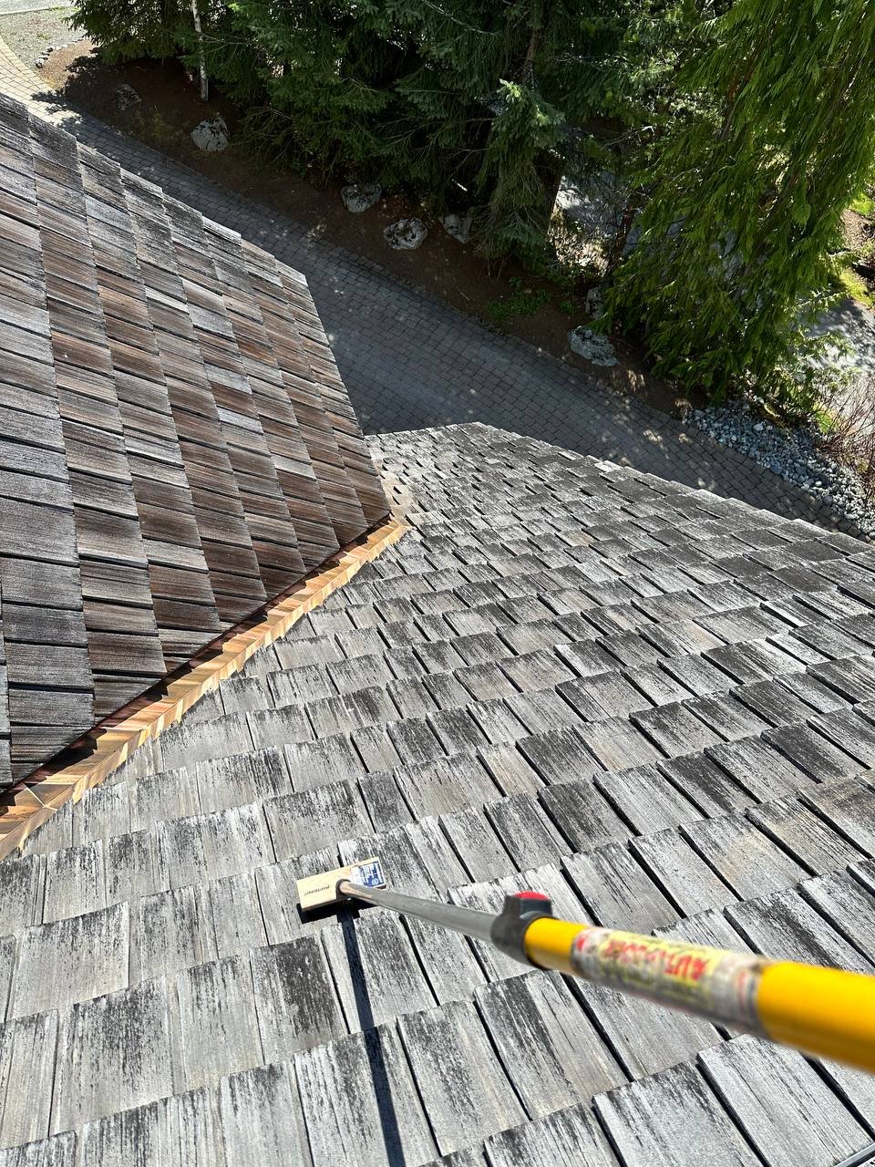 Quick Sidekick technician brushing moss from a cedar roof in Vancouver