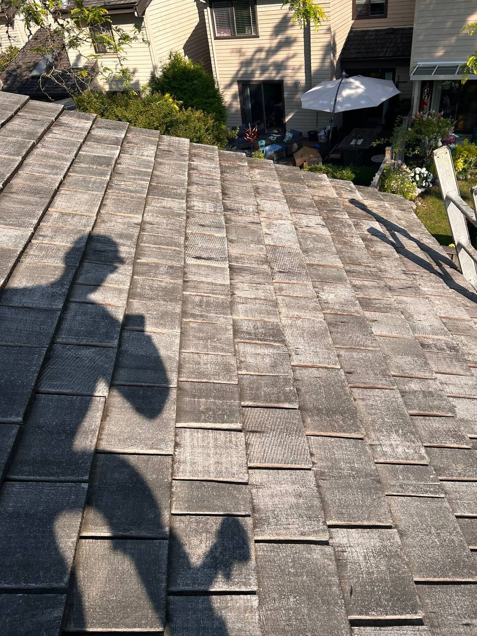 Cedar roof after professional roof blowing