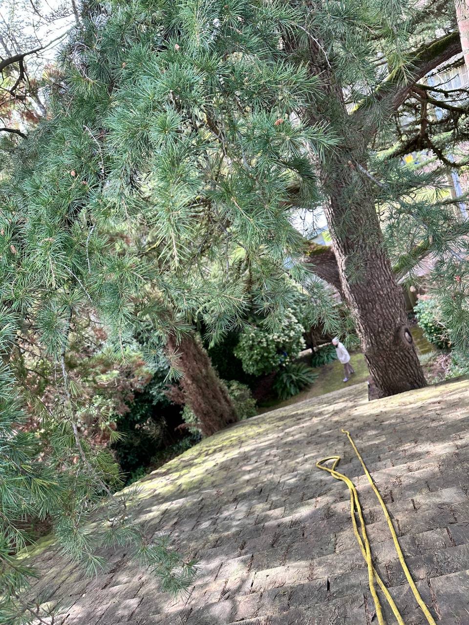 Cedar roof after professional debris removal in Vancouver