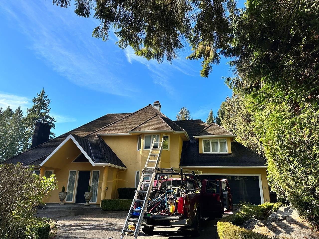 Cedar roof surrounded by mature trees in Vancouver