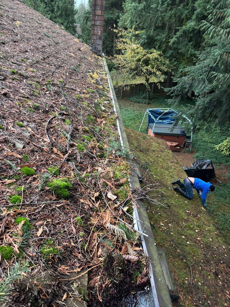 Moss and organic buildup on a cedar roof