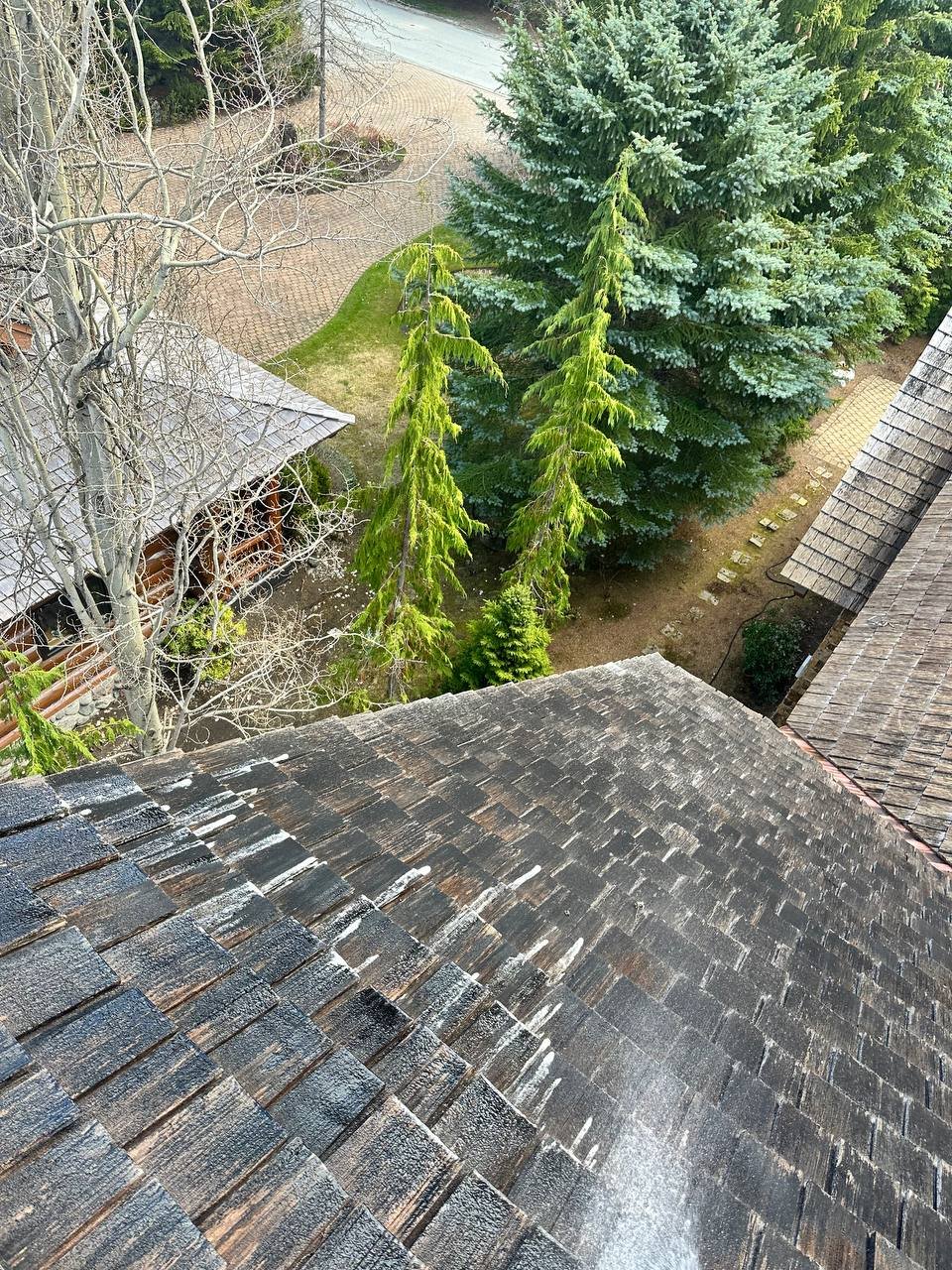 Applying moss treatment to a cedar roof