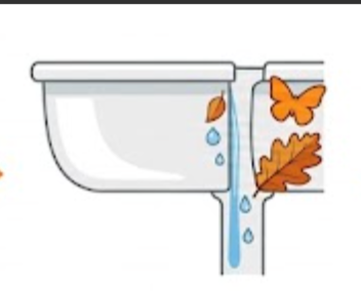 Check water flow into the gutter downpipe
