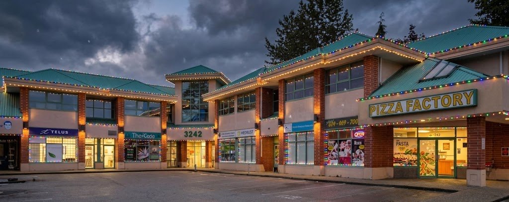 Commercial Christmas light installation on businesses in Vancouver