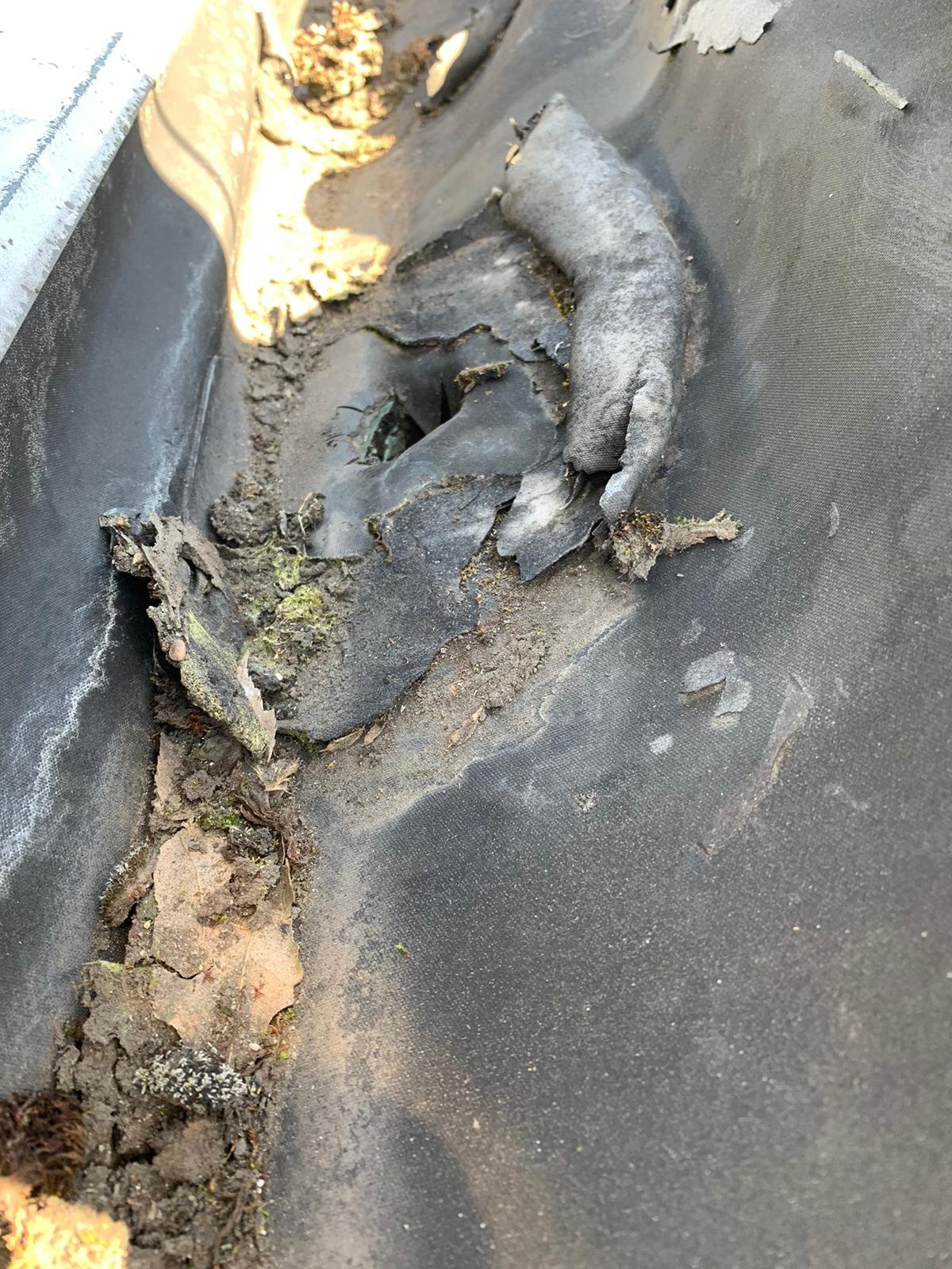 Water leaking from a hidden gutter causing fascia and roofline water damage