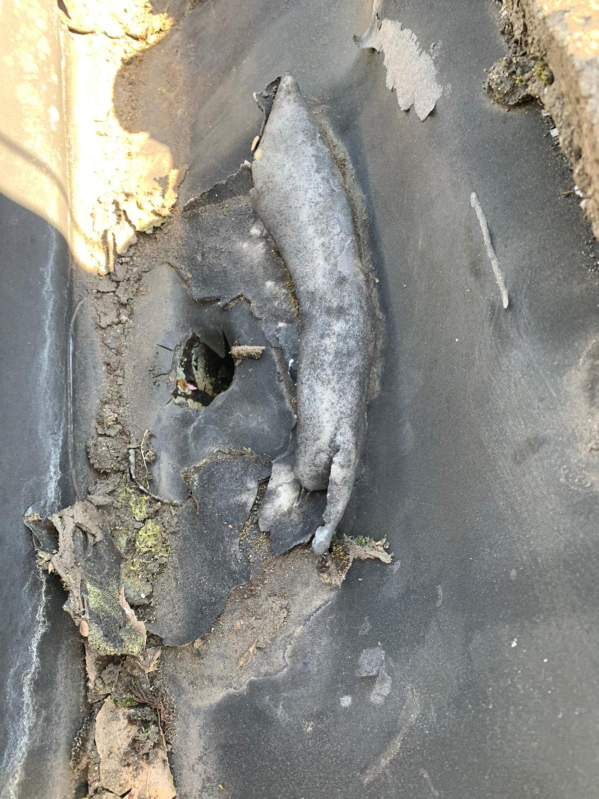 Damaged built-in gutter seam before repair in Vancouver