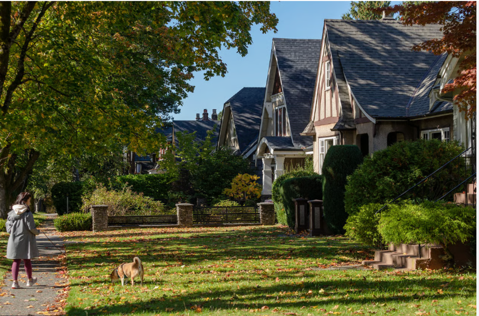 Tree-lined residential area in Dunbar-Southlands Vancouver