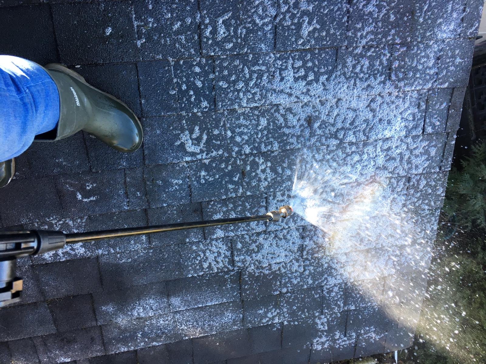 Professional roof treatment applied after roof brush cleaning