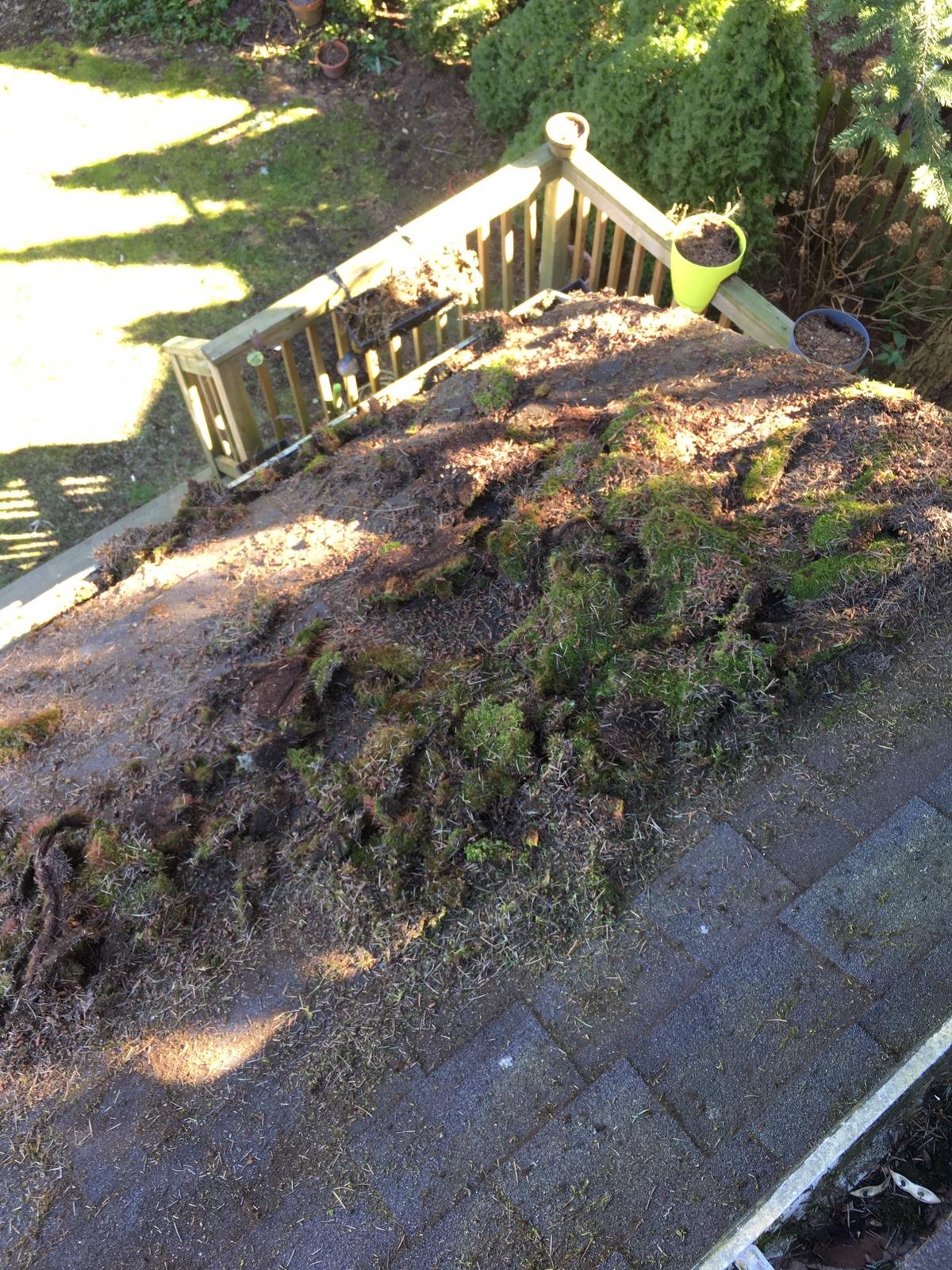Moss on a roof near a gutter