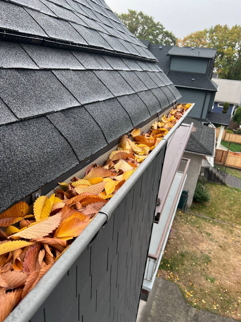 Fall leaves accumulating around gutters in Vancouver