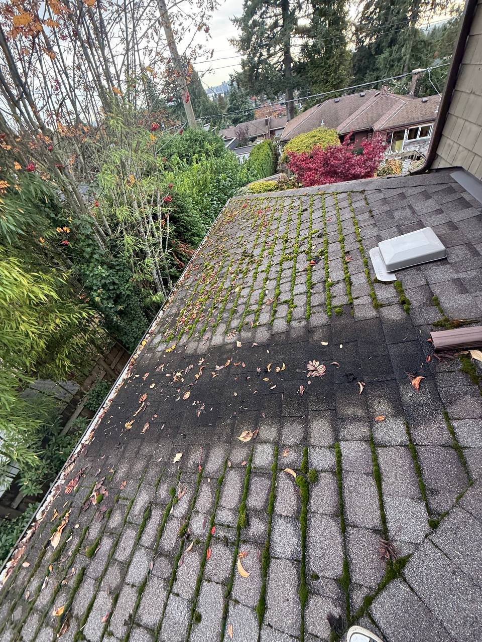 Fall roof and debris cleaning in Vancouver