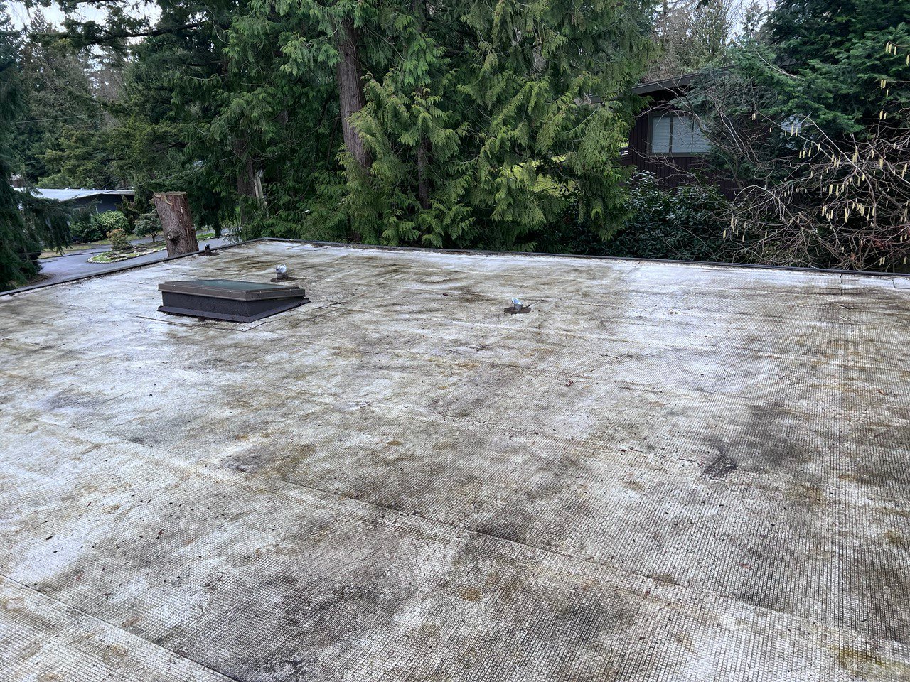 Flat roof surface after debris and dirt removal