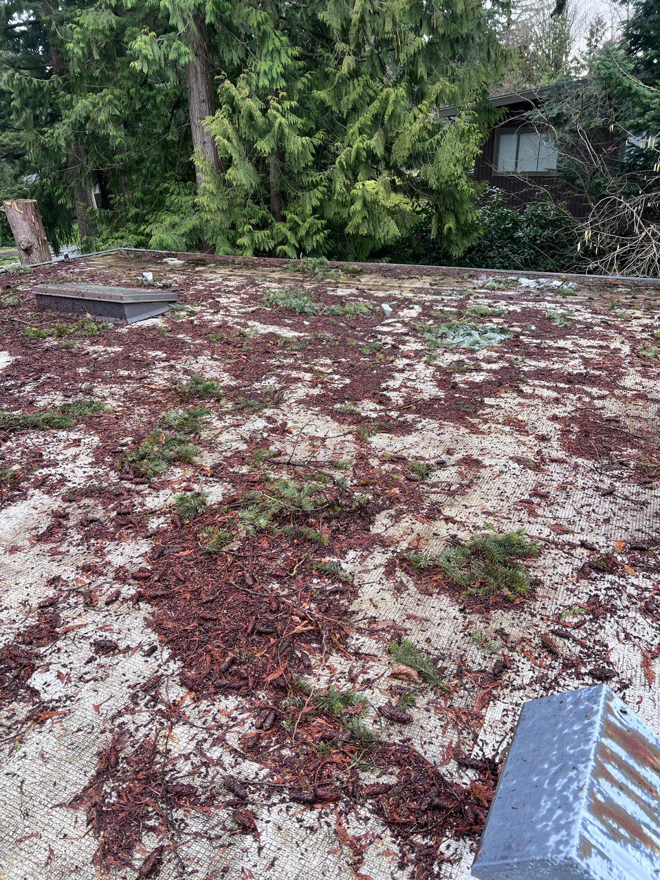 Branches and storm debris on a flat roof before cleaning