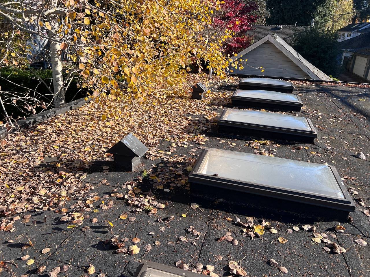 Flat roof scupper before cleaning with accumulated debris