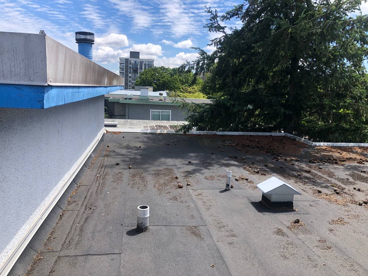 Spring flat roof cleaning in Vancouver