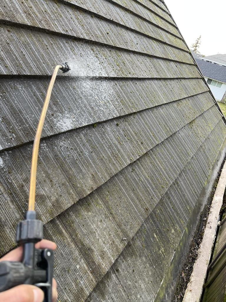 Roof treatment service in Vancouver