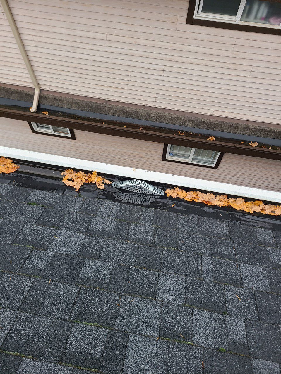Gutter basket installed over a downpipe outlet inside a built-in gutter
