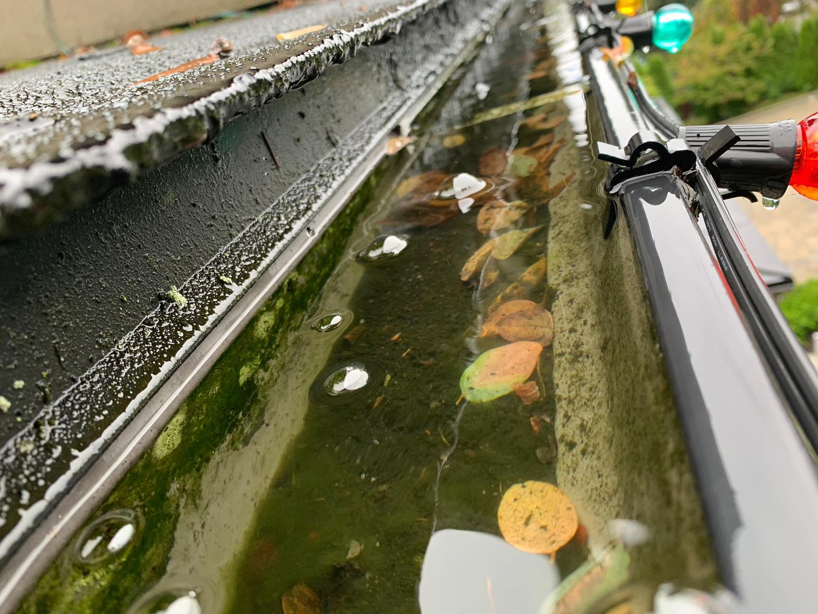 Standing water inside commercial gutters