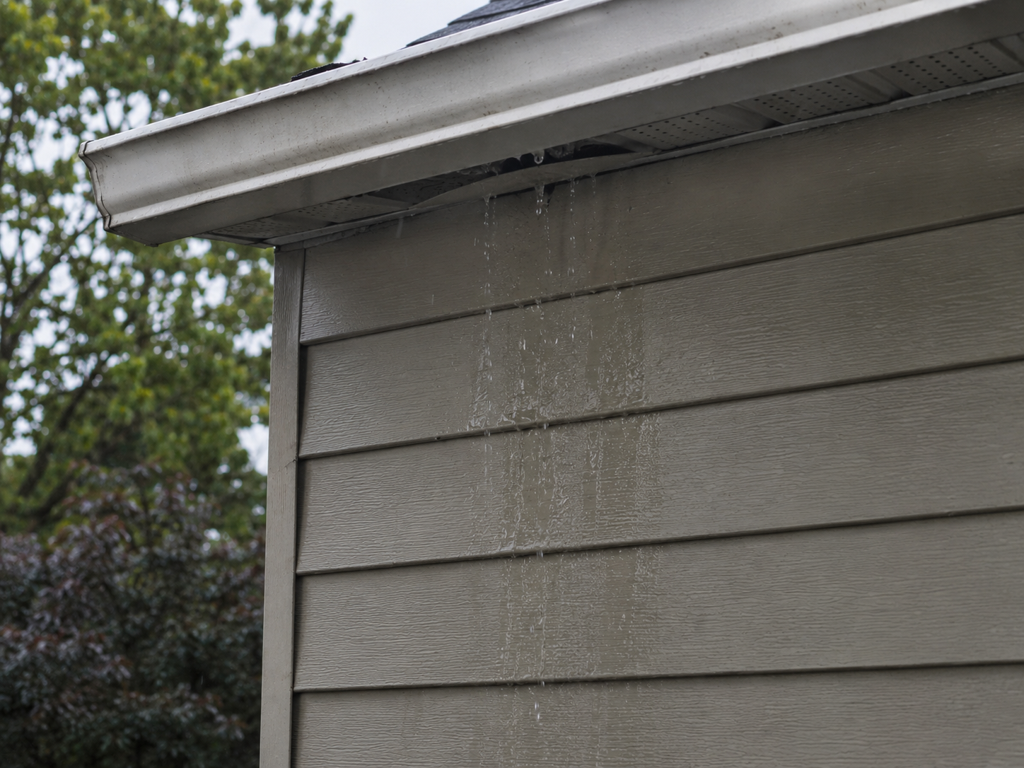 Water dripping behind a gutter on a Vancouver property