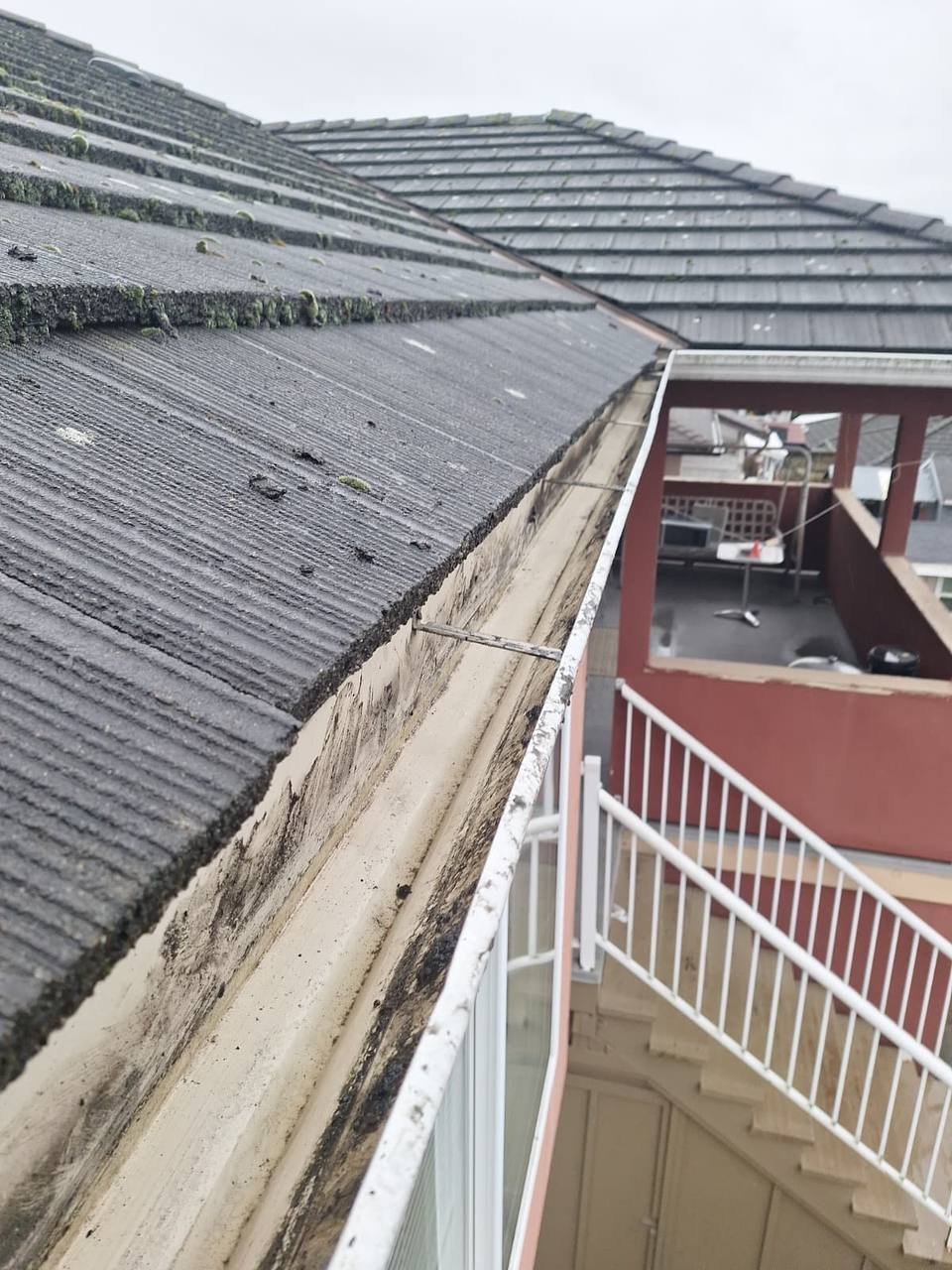 Dirty gutter guards before gutter cleaning in Vancouver