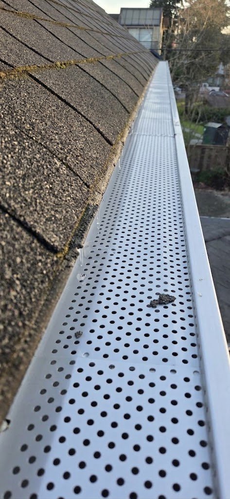 Full gutter guard covering a longer section of gutter