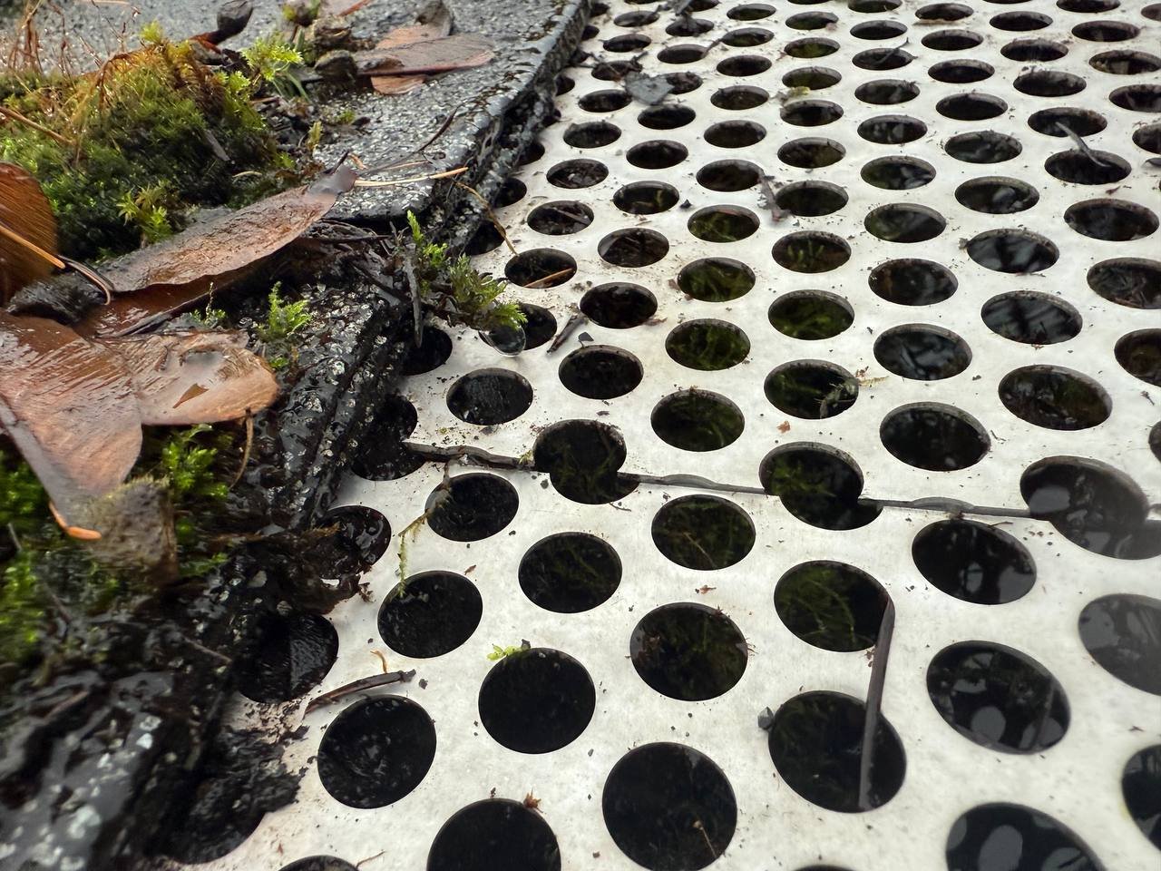 Old dirty gutter guards being inspected for replacement in Vancouver