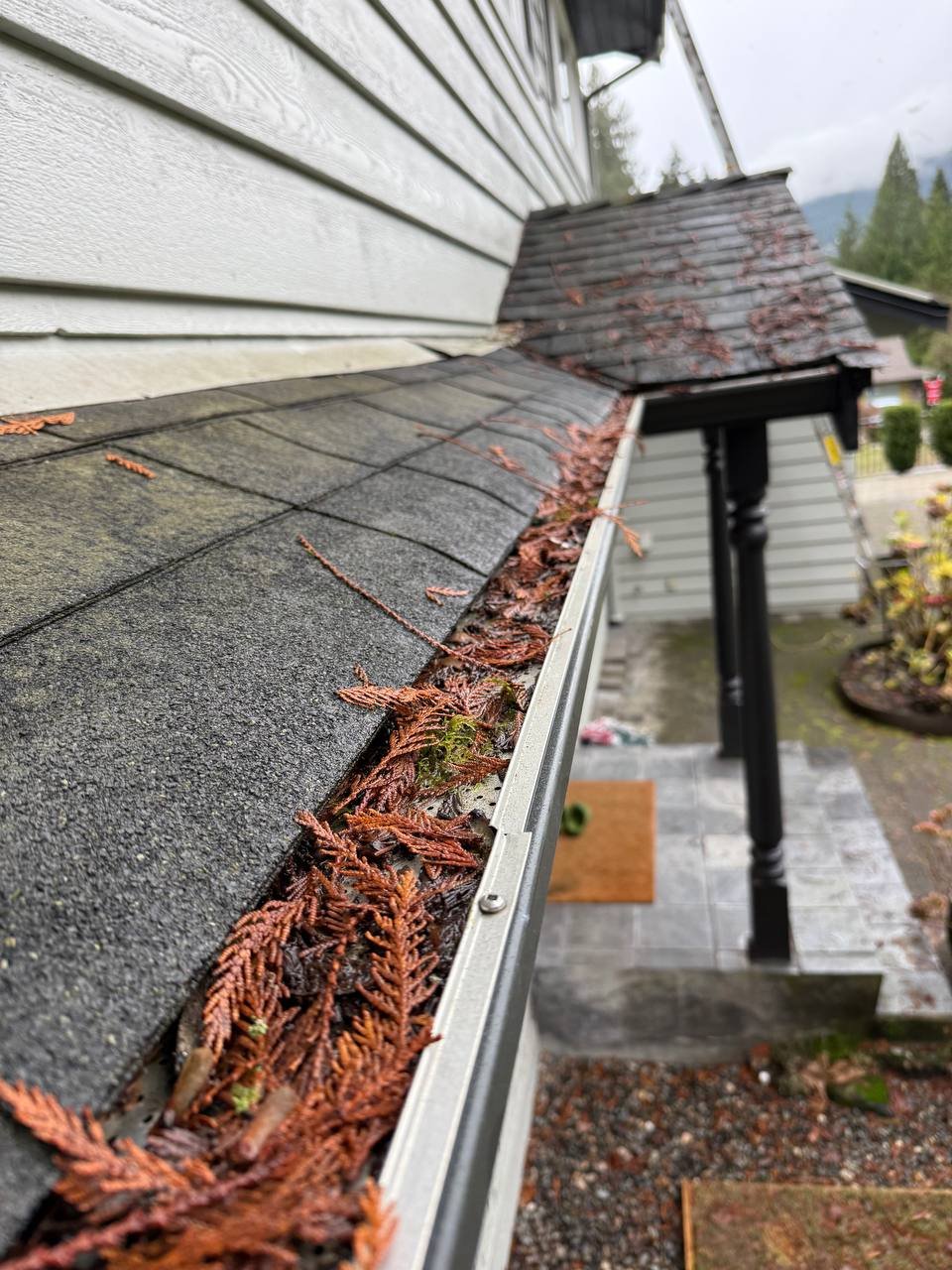 Leaves and debris collecting on top of gutter guards in Vancouver