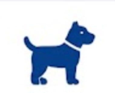 Keep pets secure during gutter cleaning