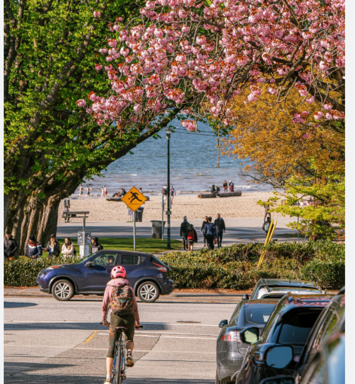 Arbutus Ridge and Kitsilano residential area in Vancouver