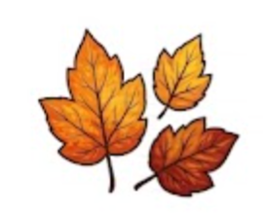 Falling leaves clogging commercial gutters