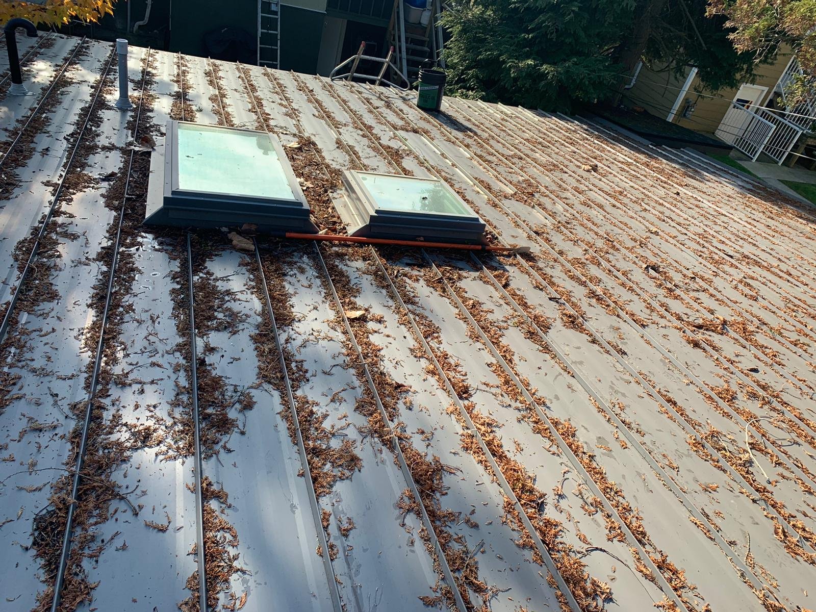 Leaves and tree debris collected in a metal roof valley in Vancouver