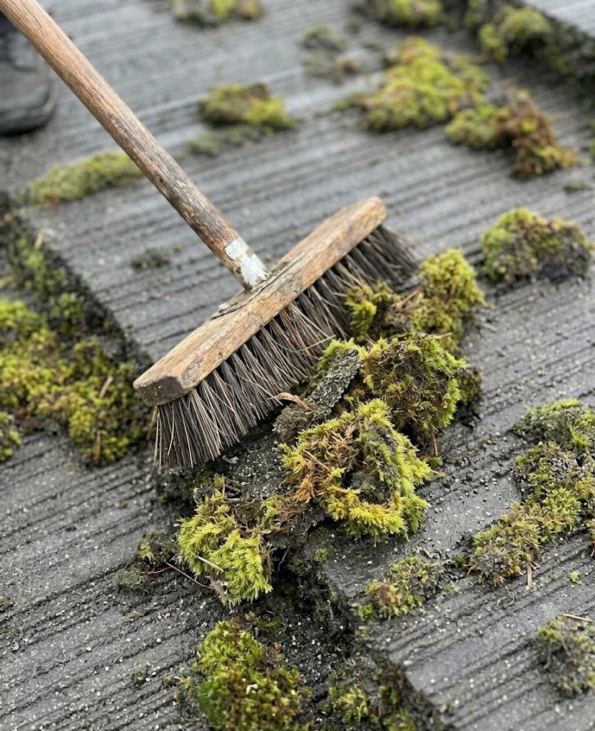 Specialized roof brush cleaning removing established moss from a roof
