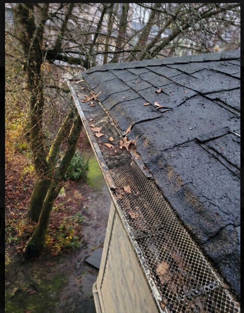 Old gutter guards needing replacement in Vancouver