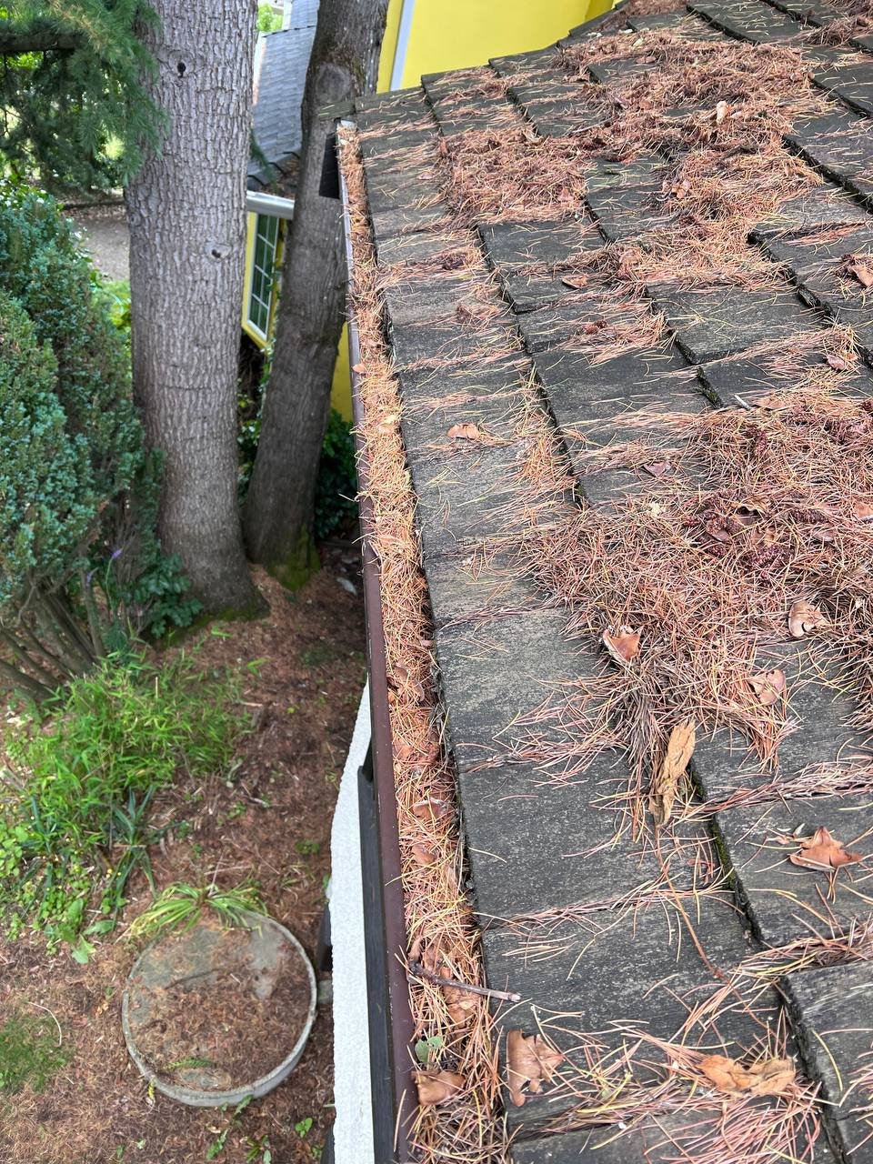Removing moss and pine needles from commercial gutters