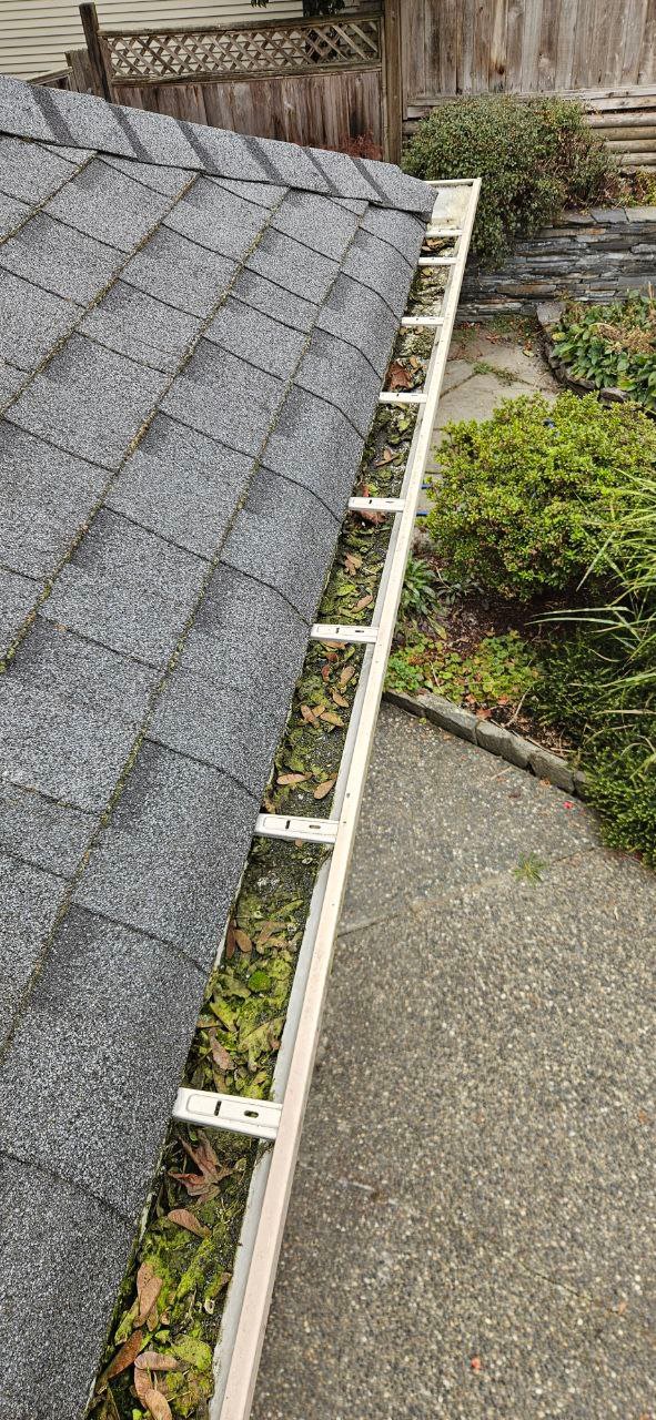 Moderately full residential gutter with leaves and debris in Vancouver